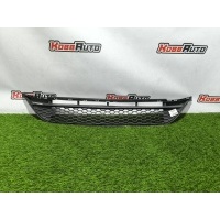 Решетка в бампер Mercedes-Benz A-Class W177 A1778859100