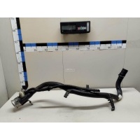 Горловина топливного бака BMW X4 G02 2018 16117404087