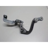Петля двери багажника BMW X3 G01 2017 41007494943
