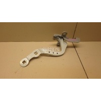 Петля двери багажника BMW X3 G01 2017 41007494943