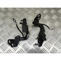 Петля крышки багажника Land Rover Range Rover Evoque I (2011-2018) 2016 LR074263, LR074264