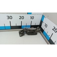 Петля двери багажника VAG Crafter 2016 7C0827152A