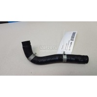Патрубок Hyundai-Kia Seltos 2019 254152U000