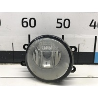 Фара противотуманная правая Toyota Urban Cruiser (2009 - 2014) 812100D041