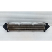Интеркулер Hongqi H5 1 2023 1119010HF02AP