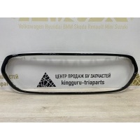 Молдинг решетки радиатора MINI cooper Hatch F56 до Рестайлинг 2013-2018 51137449207