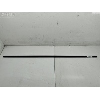 Молдинг двери передней правой Volkswagen Passat B6 2007 3C0853516