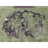 Проводка двигателя Volkswagen Touareg NF (7P5) 2012 7p6971610aq