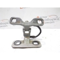 Петля двери багажника BMW X5 E53 2000-2007 41627006122