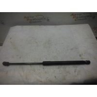 Амортизатор капота BMW X5 E70 2007-2013 51237148346