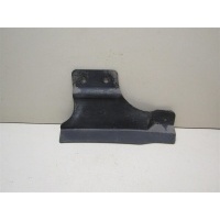 Пыльник (кузов наружные) Renault Latitude 2010-2015 555270008R