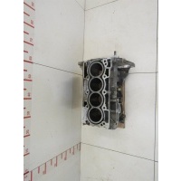 Блок двигателя Renault Latitude 2010-2015 110107443R