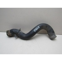 Патрубок радиатора Renault Clio II\Symbol 1998-2008 7700834886