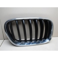 Решетка радиатора BMW X3 F25 2010-нв 51117210726