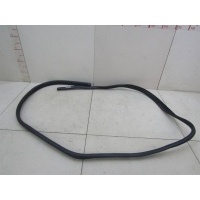 Уплотнитель двери Renault Logan 2005-2014 6001547017