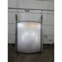 Крыша Ford Focus II 2005-2008 1341767