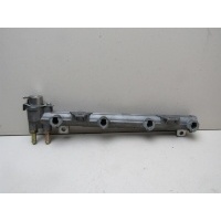 Рейка топливная (рампа) VW Golf IV \Bora 1997-2005 036133320B
