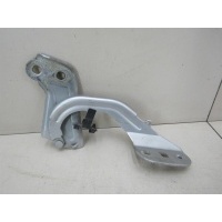 Петля капота правая Ford Focus III 2011-нв 1750016