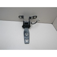 Петля двери багажника BMW X3 F25 2010-нв 41627311231