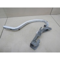 Петля крышки багажника Chevrolet Aveo (T300) 2011-нв 95076930