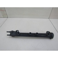 Рейка топливная (рампа) VW Golf IV \Bora 1997-2005 06A133317A