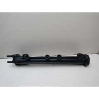 Рейка топливная (рампа) VW Golf IV \Bora 1997-2005 06A133317A