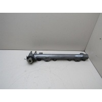 Рейка топливная (рампа) VW Golf IV \Bora 1997-2005 036133319B