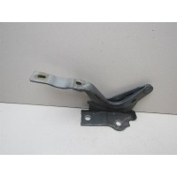 Петля капота левая Hyundai Santa Fe (CM) 2005-2012 791202B000