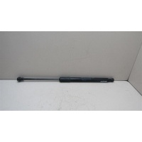 Амортизатор двери багажника Renault Duster 2012-2021 904521364R