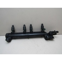 Рейка топливная (рампа) VW Golf IV \Bora 1997-2005 06A133317A