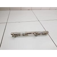 Рейка топливная (рампа) Exeed RX 2023- F01R00PC49