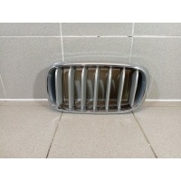 Решетка радиатора левая BMW X5 F15 51117303107