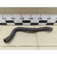 Патрубок радиатора FORD Transit 2006-2013 1371293
