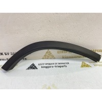 Расширитель крыла Exeed TXL M32T 2020-2023 609001587AA