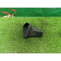Воздуховод AUDI A5 8T 2008 1020448S01