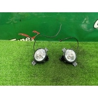 Фары противотуманные BMW X5 E70 2008 63177184317, 63177184318