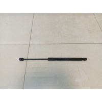 Амортизатор двери багажника Renault Renault Megane (3) 2009-2016 904510001R