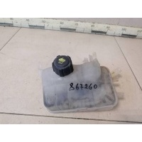 Бачок расширительный Renault Renault Megane (3) 2009-2016 217100005R