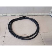 Уплотнитель проема двери передней правой Renault Renault Megane (3) 2009-2016 808320004R