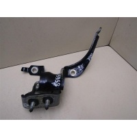 Петля двери багажника Audi A4 (B7) 2005-2007 8E9827300F