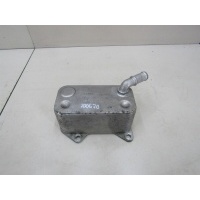 Радиатор масляный VW Passat (B6) 2005-2010 06D117021C