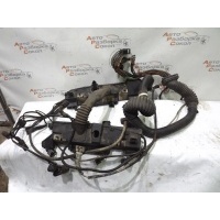 Проводка (коса) BMW X5 E53 2000-2007 12511438902