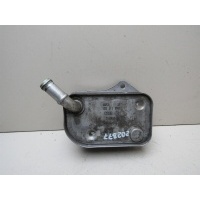 Радиатор масляный Audi A4 (B6) 2000-2004 06B117021