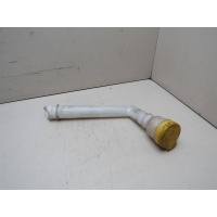 Горловина бачка омывателя Renault Megane III 2009-нв 289150003R