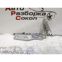 Петля капота левая Audi A3 (8PA) 2004-2013 8P0823301B
