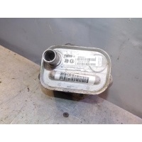 Радиатор масляный Kia RIO 2005-2011 264102A100