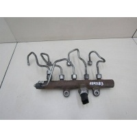 Рейка топливная (рампа) Renault Megane III 2009-нв 8200669695