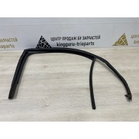 Уплотнитель стекла двери Skoda Rapid 1 NH3 до Рестайлинг 2013 5JA839431