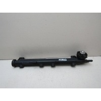 Рейка топливная (рампа) VW Golf IV \Bora 1997-2005 037133317N