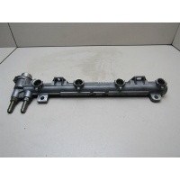 Рейка топливная (рампа) VW Golf IV \Bora 1997-2005 036133320B